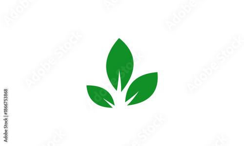 Green Plant Leaves Symbol on White Background.