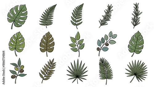 A collection of various tropical leaves and plants arranged on a white background for illustration purposes.