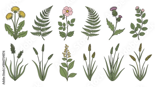 Various plants and flowers are growing in a lush garden with green leaves and vibrant blooms on a sunny day.