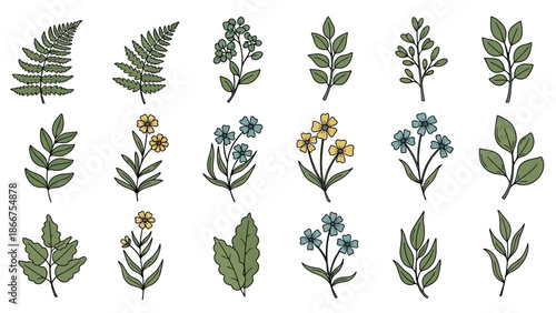 Various colorful flowers and leaves are arranged in rows on a white background for illustration purposes.