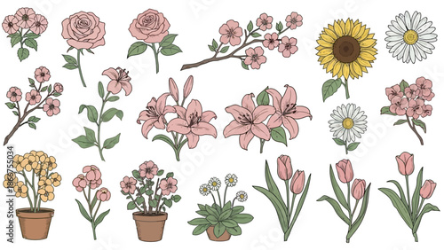 A vibrant collection of various flowers and potted plants arranged neatly on a plain background for illustration purposes.