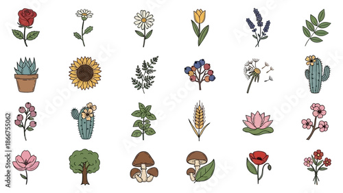 Vibrant illustrations of various flowers, plants, and mushrooms are displayed in a colorful arrangement.