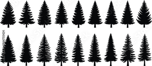 Set of black pine tree silhouettes collection isolated on white background for forest nature landscape design vector illustration stock graphic