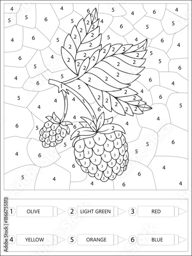 Raspberry Fruit Color by Number Educational Worksheet for Kids