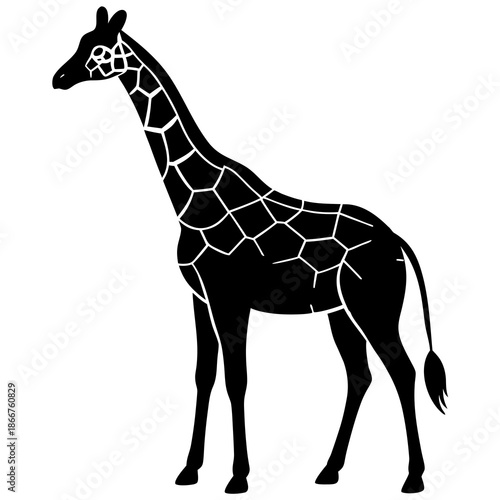 Giraffe isolated on white background Vector