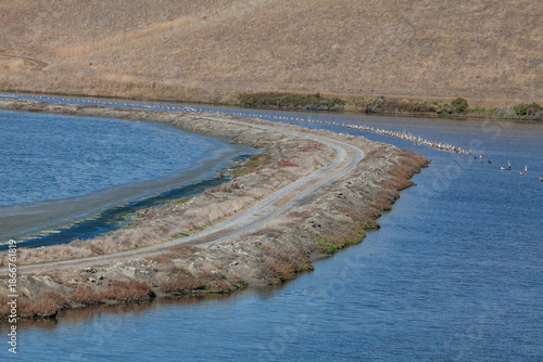 Levee dividing San Francisco Bay waters highlights wetland management and habitat conservation
