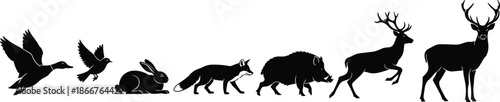 Wild forest animals silhouettes progression birds rabbit fox boar deer vector illustration isolated black wildlife collection nature fauna set design