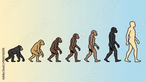 Evolution of human ancestors from ape to modern human in a colorful illustration