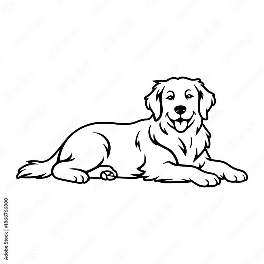 Fototapeta premium Golden Retriever Laying