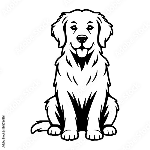 Golden Retriever Sitting