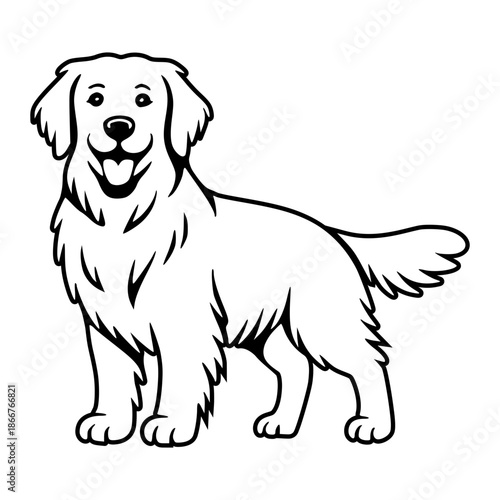 Golden Retriever Standing