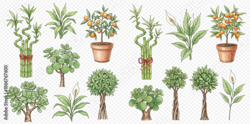 Collection of various potted houseplants and green plants on transparent background.