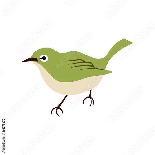 シンプルなメジロ　春の野鳥