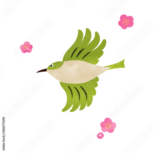 水彩風　梅の花とメジロ