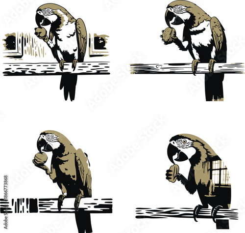 A brown and black parrot perches on a branch enjoying a nut or seed in a simple setting