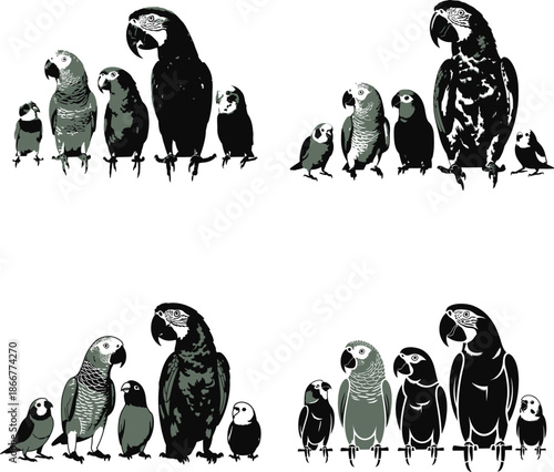 Diverse group of parrots and birds in varying sizes stand side by side on a clean white background