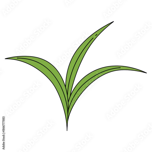 Stylized green leaves with black outlines, simple and elegant design isolated on white background