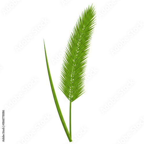 Vibrant green grass blade against a clean background isolated on white background