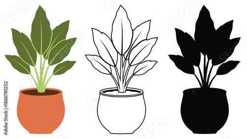 Variety of potted plants in different styles and colors
