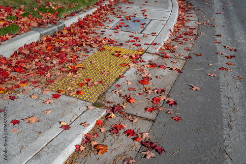 Fotografie Fall changes, dry red maple leaves on street and sidewalk with ADA compliant acc