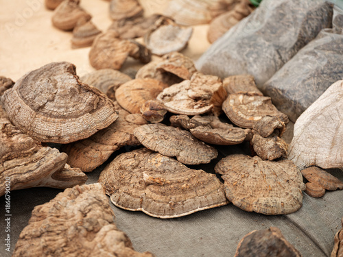 Dried herbal medicines sold in traditional markets