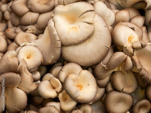 Fresh mushrooms at a traditional market