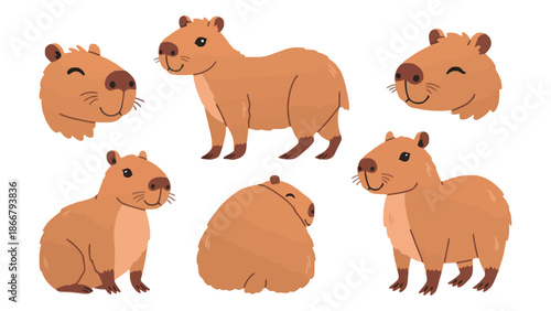 A collection of cute capybara illustrations in various poses.