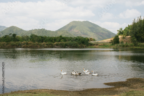 Beautiful outdoor view at Huai Tha Khoei Ban Kha Ratchaburi reservoir. The scene features a wooden photo spot, white ducks, and a calm lake with mountain views.