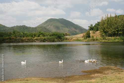 Beautiful outdoor view at Huai Tha Khoei Ban Kha Ratchaburi reservoir. The scene features a wooden photo spot, white ducks, and a calm lake with mountain views.