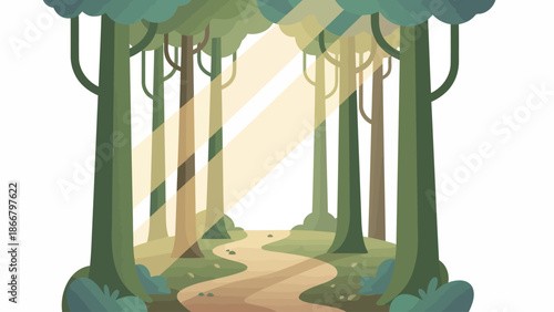 Sunlit Forest Path Surrounded by Tall Trees.