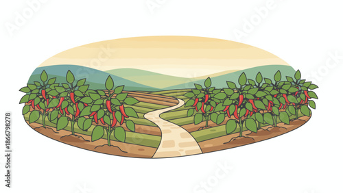 Vineyard Rows With Grapevines And A Gentle Path.