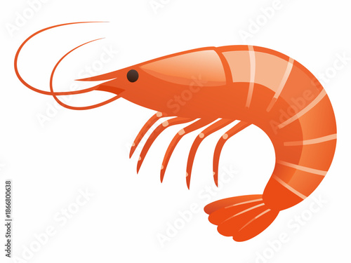 A vibrant orange shrimp illustration against a clean white background