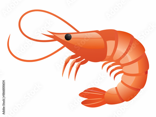 A vibrant orange shrimp illustration with curled antennae and segmented body