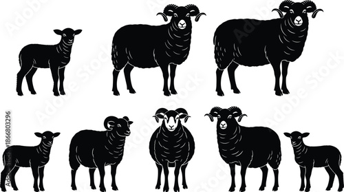 Sheep and lamb silhouette collection with rams and farm animals, livestock illustration showing wool sheep figures on white background