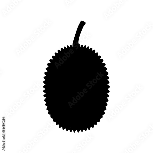 kiwi fruit isolated on white