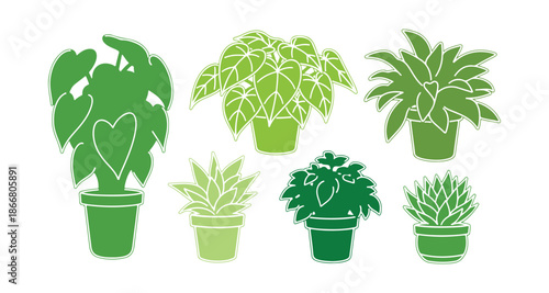 Group of colorful indoor plants. Doodle art featuring houseplants in pots.

