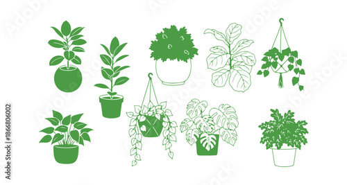 Collection of bright houseplants. Sketch of indoor plants in flower pot outlines.

