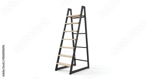 ladders isolated on white
