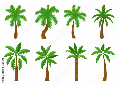 Collection of vibrant green palm trees in various styles and arrangements