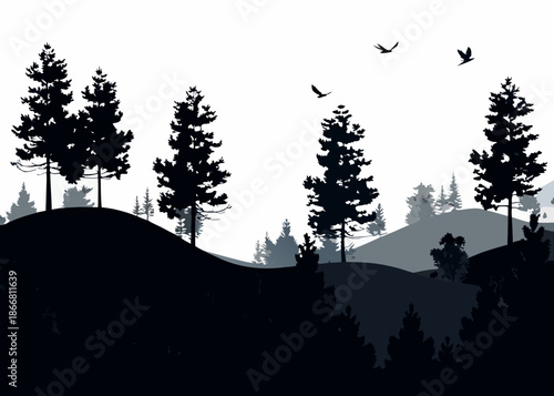 Silhouette of coniferous trees and flying birds against a bright sky