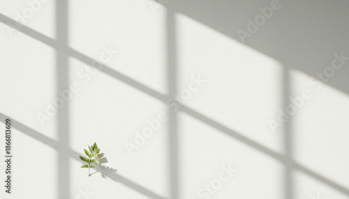 Delicate fern leaf embraced by natural window light, creating elegant geometric shadows on a pristine white surface, evoking a tranquil and minimalist aesthetic