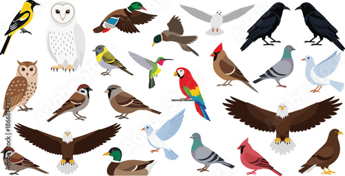 Large black silhouette collection of tropical leaves exotic palm fronds and jungle foliage isolated on white background for nature botanical design