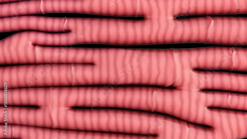 Schilderij op canvas A 3d rendering of cardiac muscle cells or cardiomyocytes