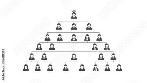 Organizational Chart Showing Hierarchy and Structure.
