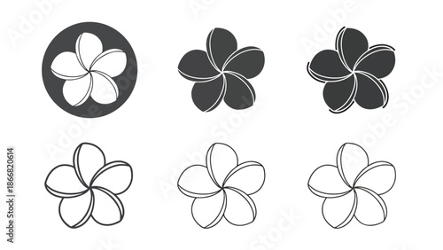 Abstract floral designs in monochrome - SVG and PNG icons - Vector Icons and Stickers - PNG, SVG, EPS - Glyph and solid icon set - Icon vector - Flat Design Icon - line icon set