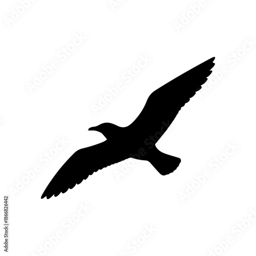 Seagull flying silhouette isolated on white background seabird vector illustration