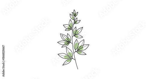 Minimalist botanical line art of a slender branch with delicate leaves and soft green artistic circular accents.