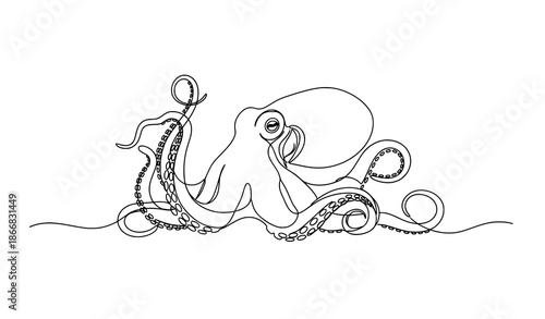 Minimal continuous line elegant octopus vulgaris vector outline illustration
