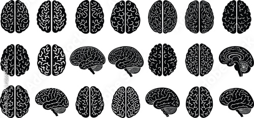 Human brain silhouettes collection, neurology medical icons, mental health symbols set, cerebral cortex illustrations, psychology and anatomy design elements, neuroscience vector