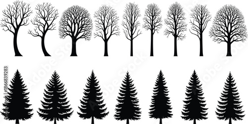 Set of tree silhouettes, deciduous bare branches, evergreen pine forest firs, winter nature landscape elements, woodland park flora, and botanical plant